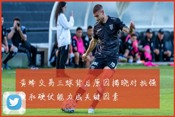 黄蜂交易三球背后原因揭晓对抗强度和硬仗能力成关键因素
